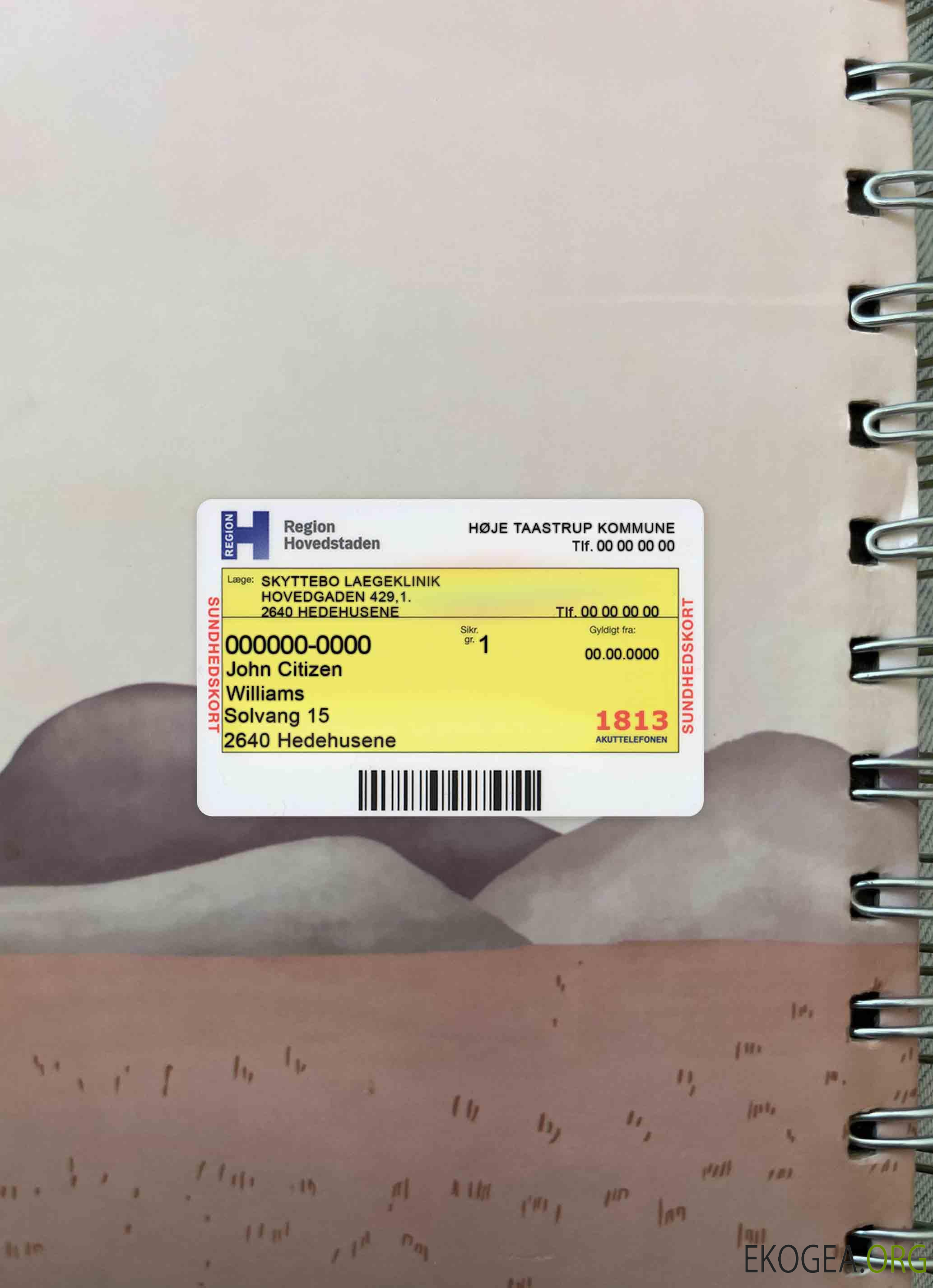 Photolook de la carte d'assurance maladie du Danemark DEVANT